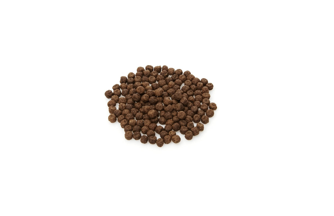 Deep Talk Plus - Gut Health - Real Moms Boutique LLC