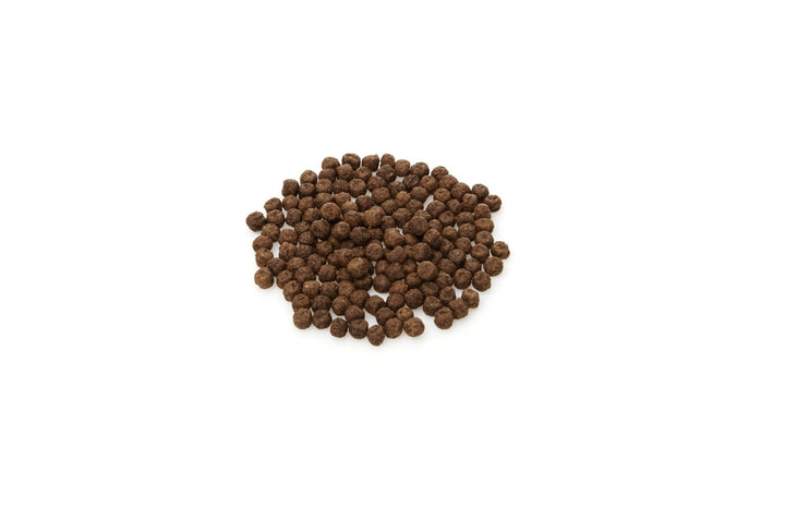 Deep Talk Plus - Gut Health - Real Moms Boutique LLC